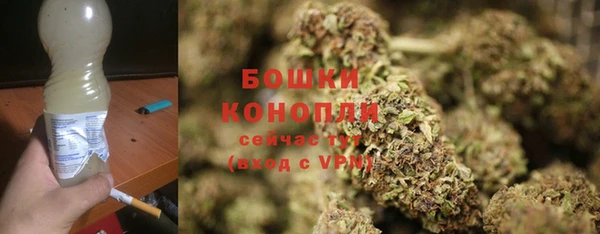 СК Аркадак