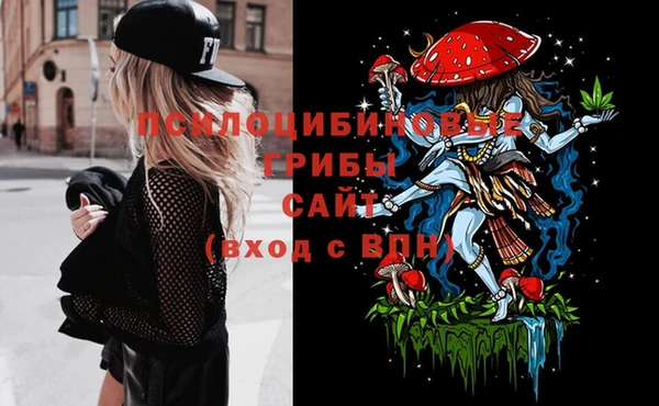 СК Аркадак