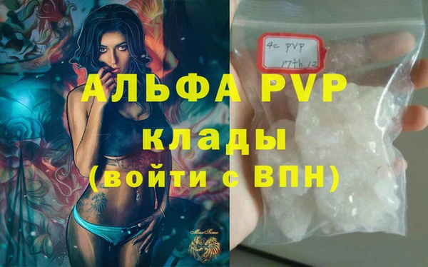 СК Аркадак