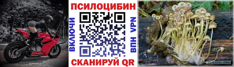 Псилоцибиновые грибы GOLDEN TEACHER закладки Белорецк