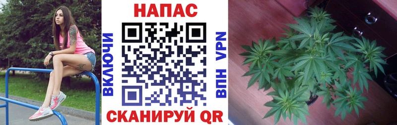 Каннабис ГИДРОПОН  Белорецк 